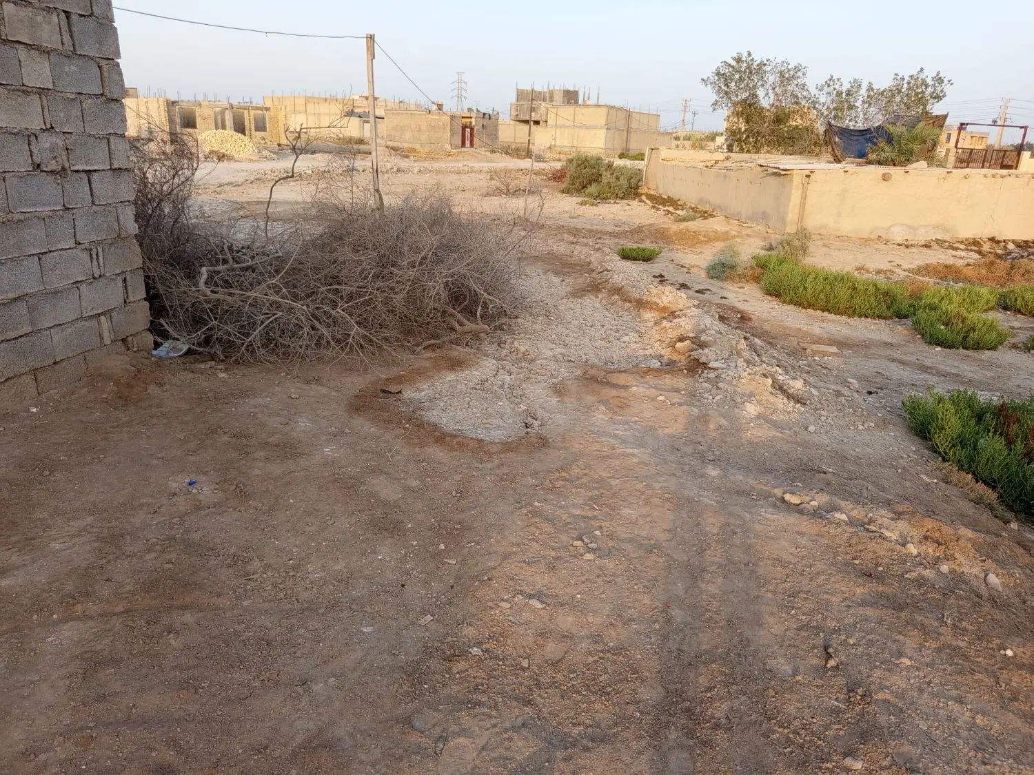 زمین برای فروش