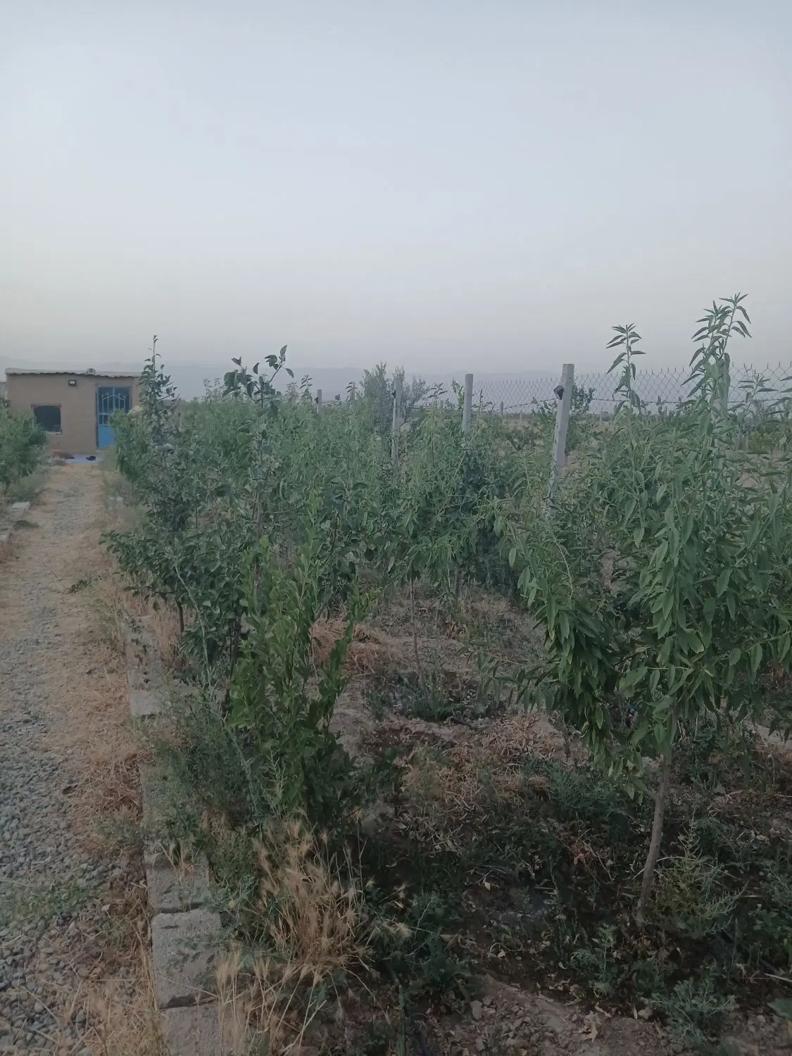 ۶۰۰متر باغ باسهمیه آب قانونی