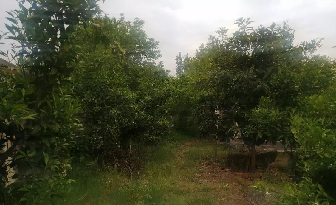 زمین 1000 متر با کاربری مسکونی