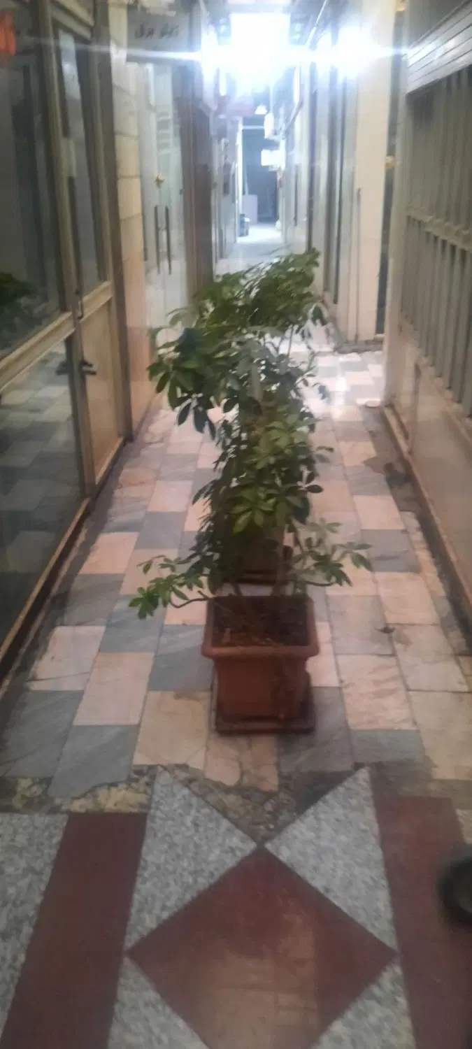 ملک تجاری