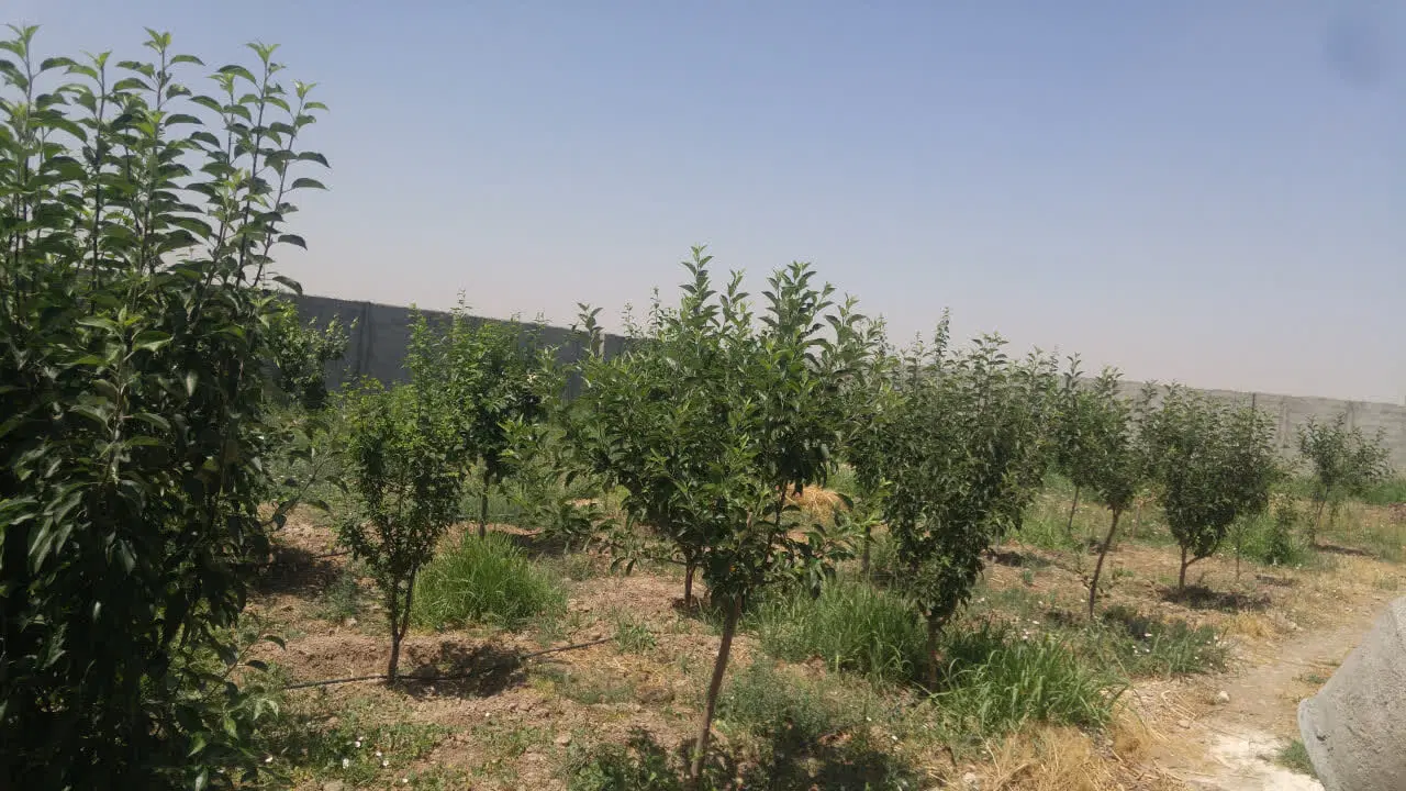 ۶۰۰ متر چهاردیواری سند تک برگ