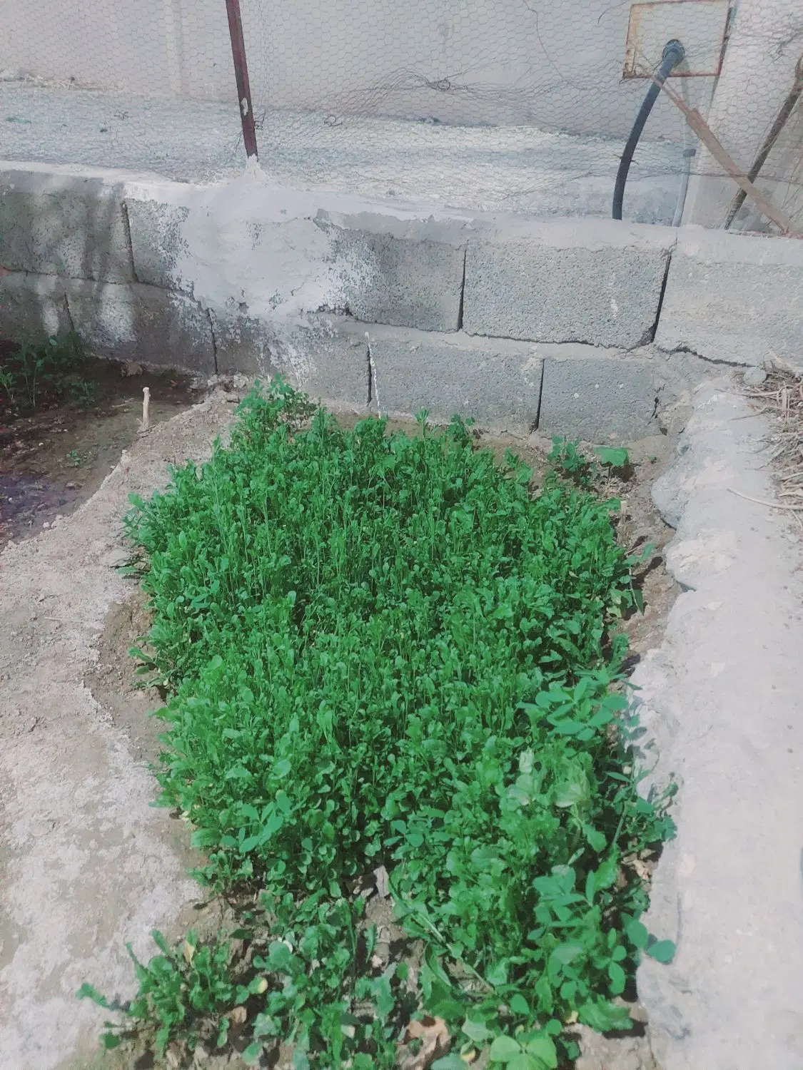 منزل فروشی