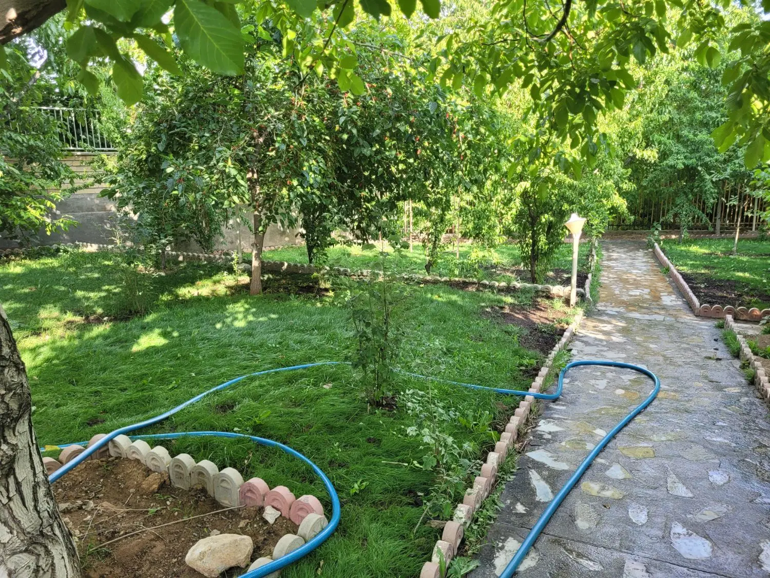 اجاره ویلا و باغ سامان