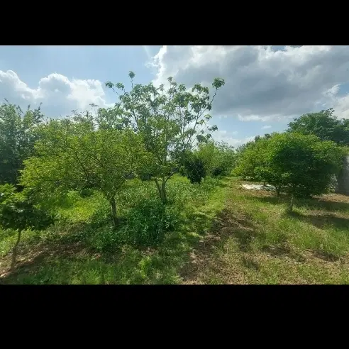 فروش زمین باغی