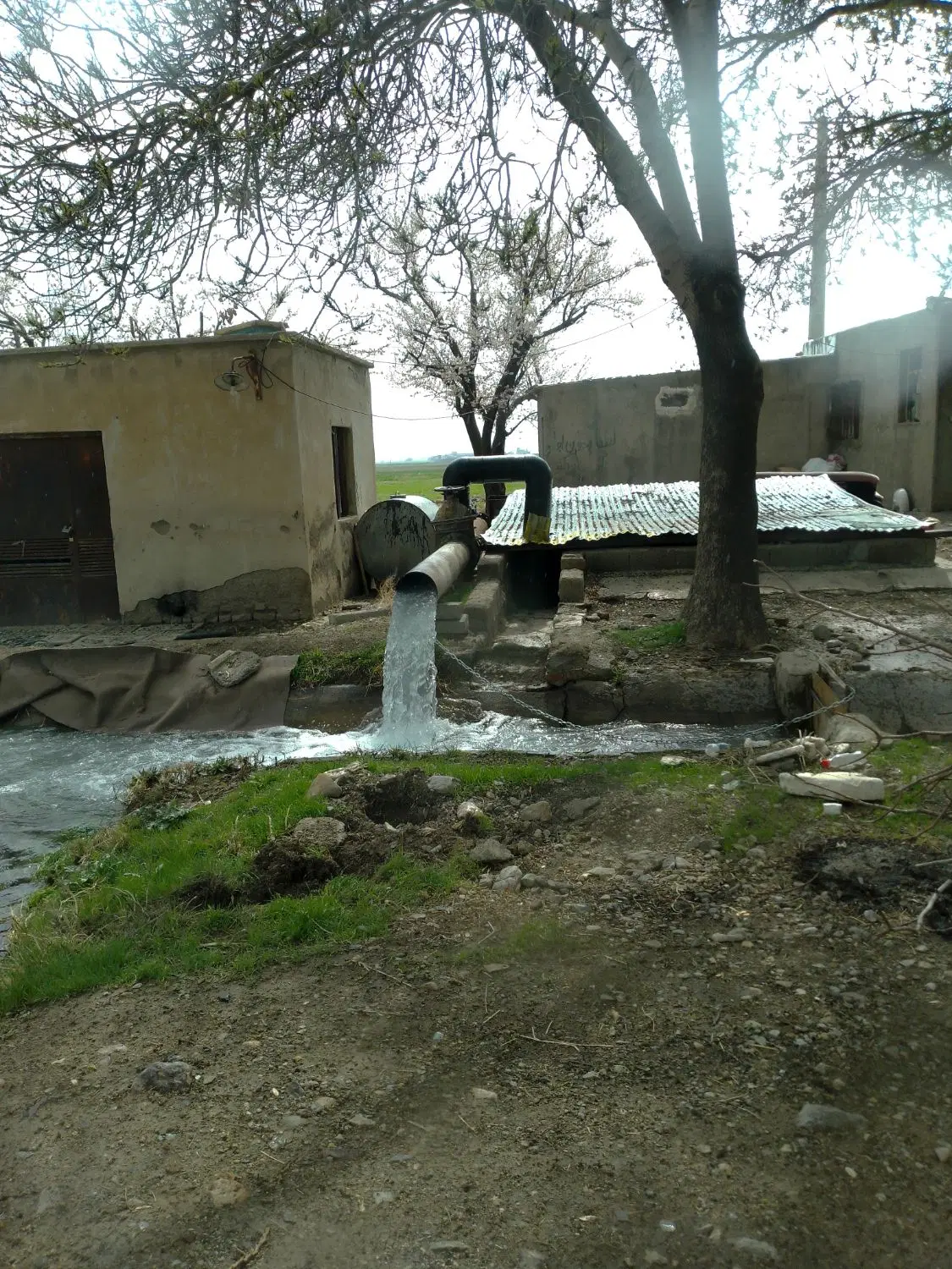 فروش زمین 1 هکتاری