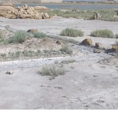 زمین صوفی اباد