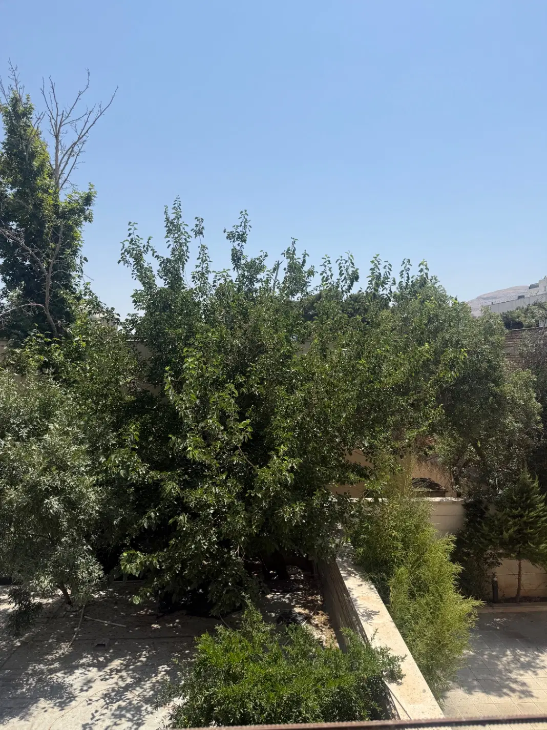 تک واحدی _ غرق نور _ پاسداران