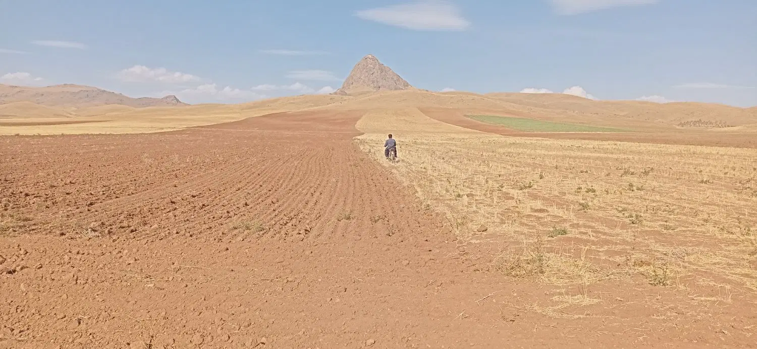 ۱۴حکتار زمین آبی و دیم