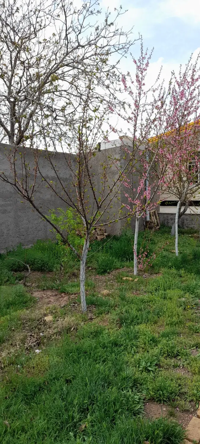 خانه روستایی