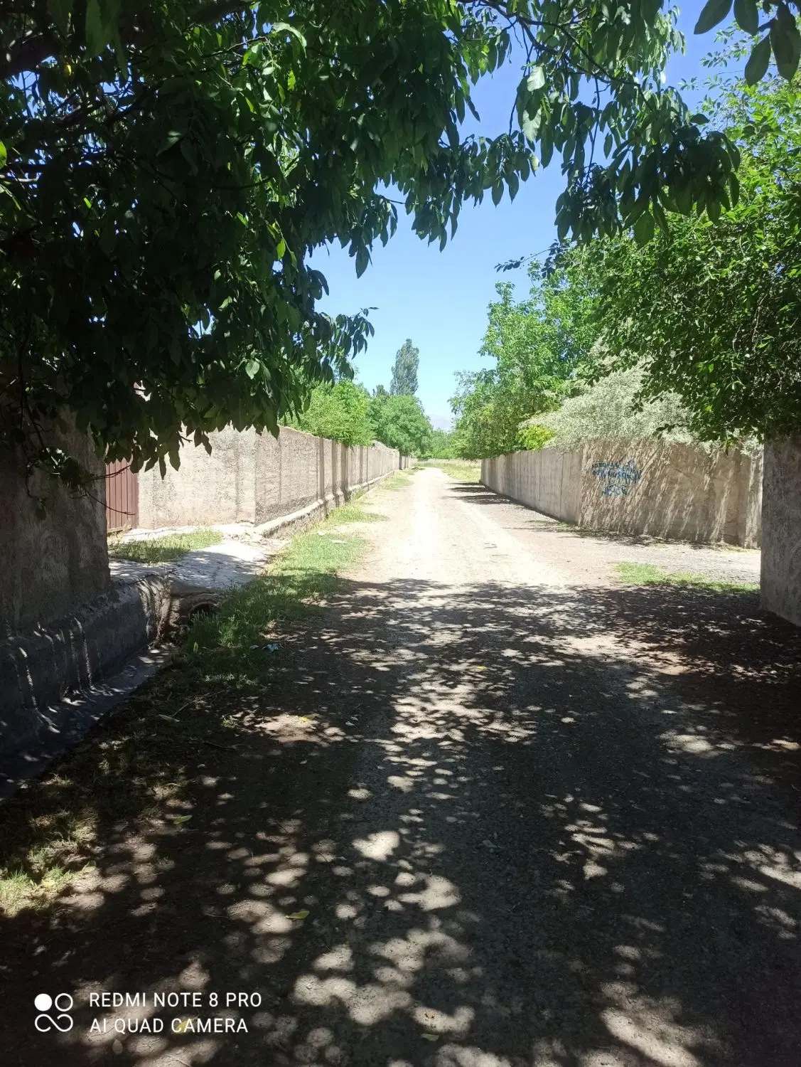 فروش باغ ۱۴۵۰ متری امکان فروش دو قطعه ای
