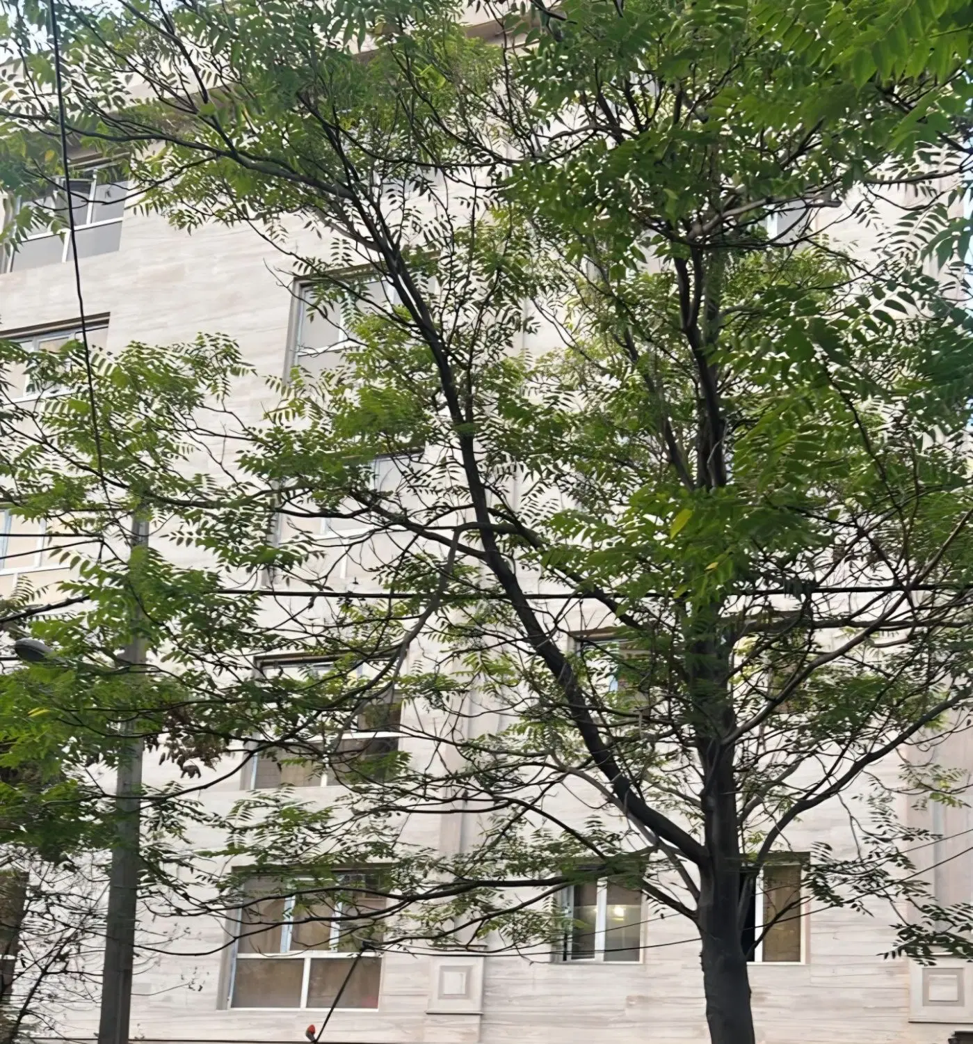 ۱۱۵ متر کلنگی در تهران نو