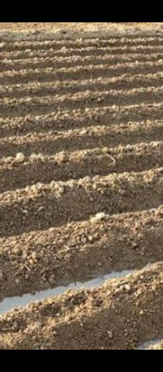زمین خالی با چاه آب دارای پروانه