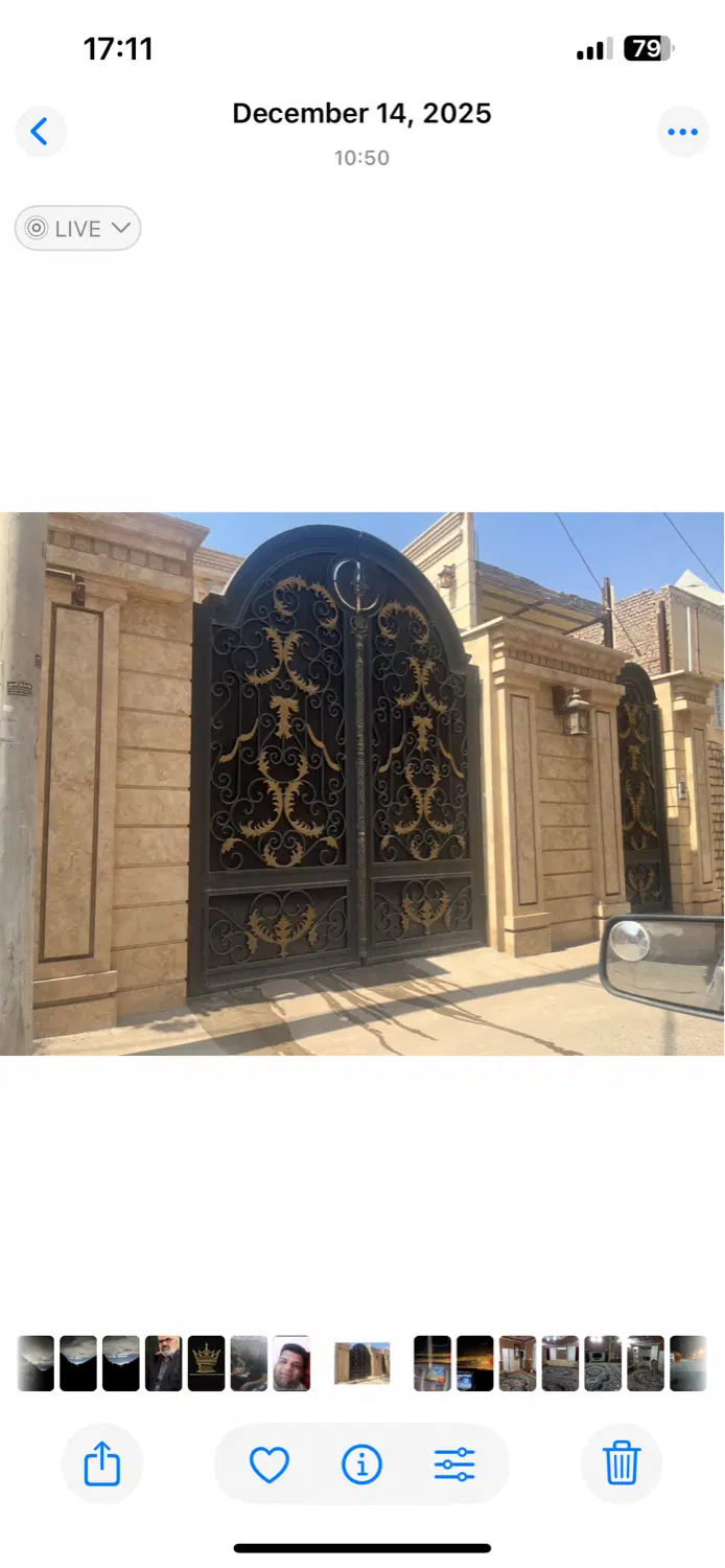زمین شمالی شمشاد ۲