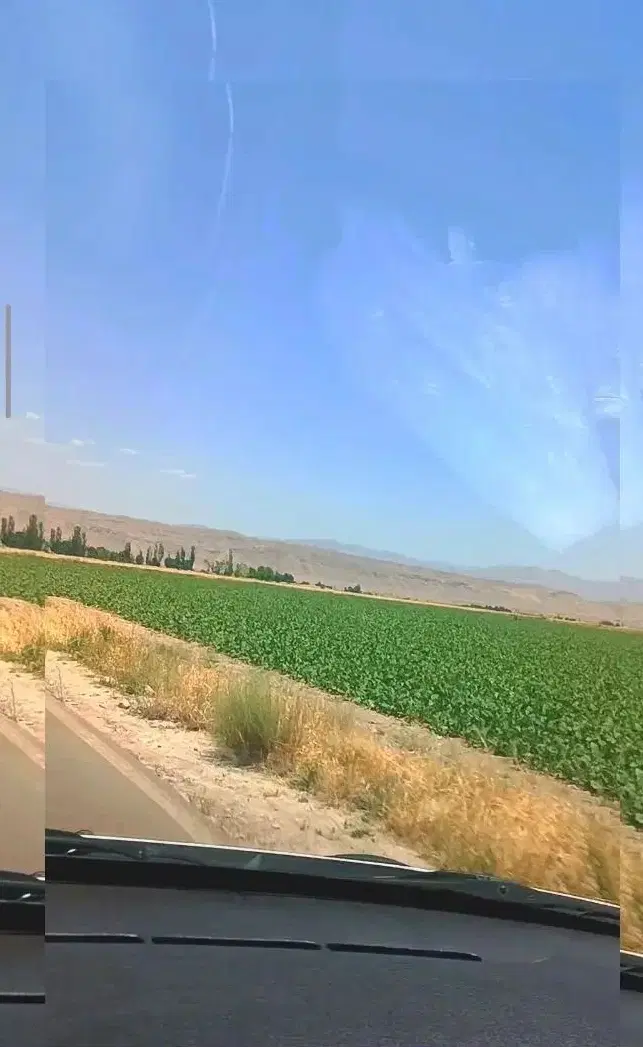 زمین باغی روستای نیستان گلبهار