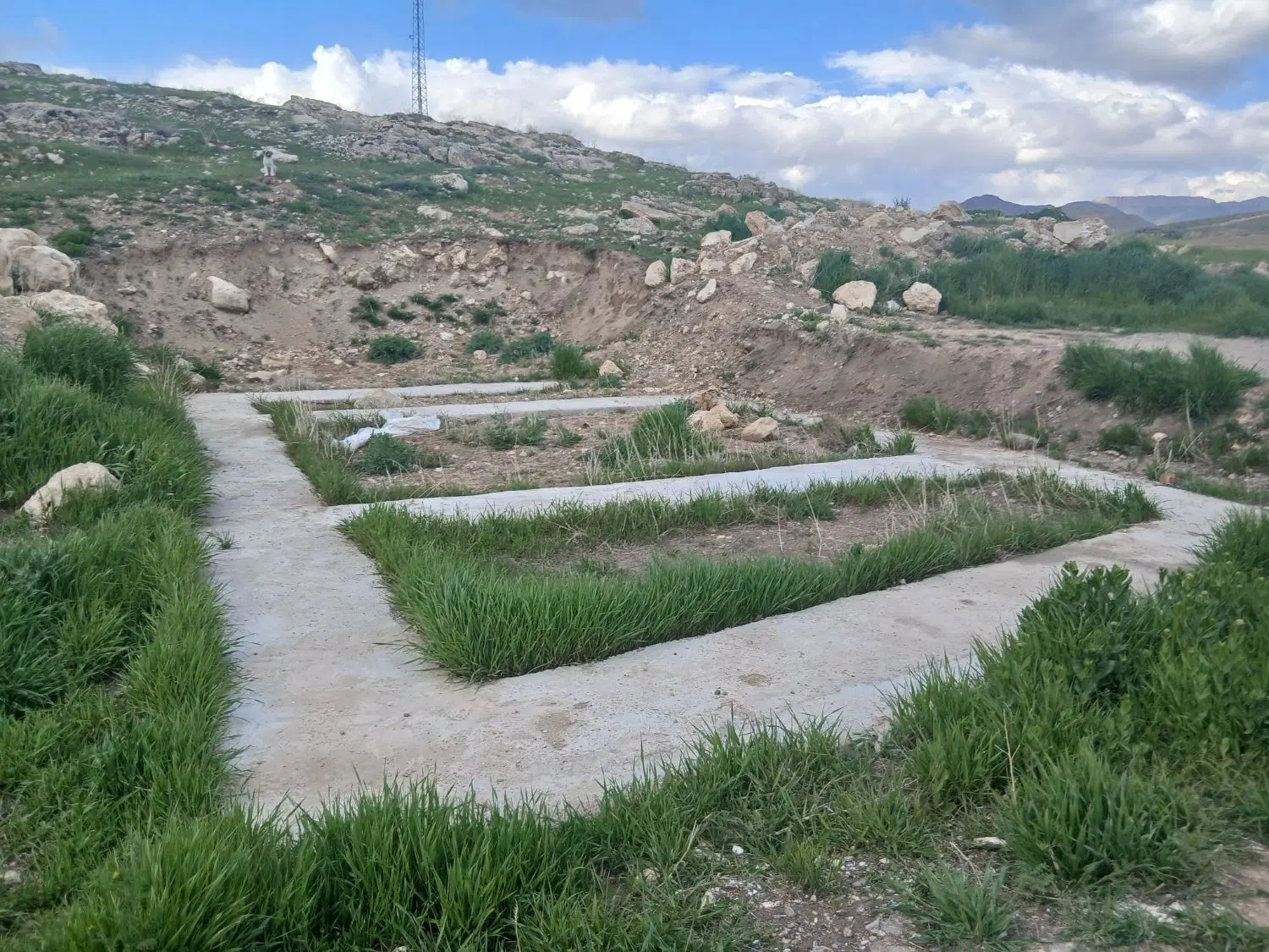زمین مسکونی