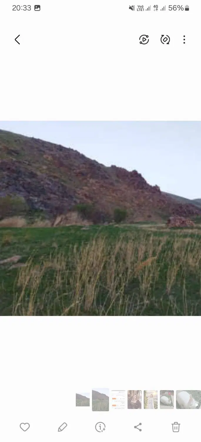 اجاره زمین دیمی 3 هکتاری