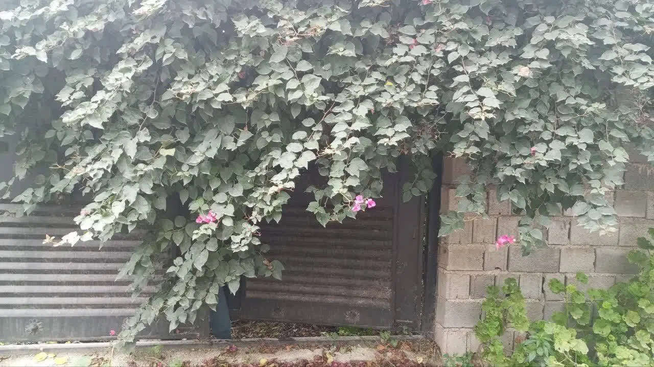 فروش باغ زمین مسکونی آمل هزار سنگر