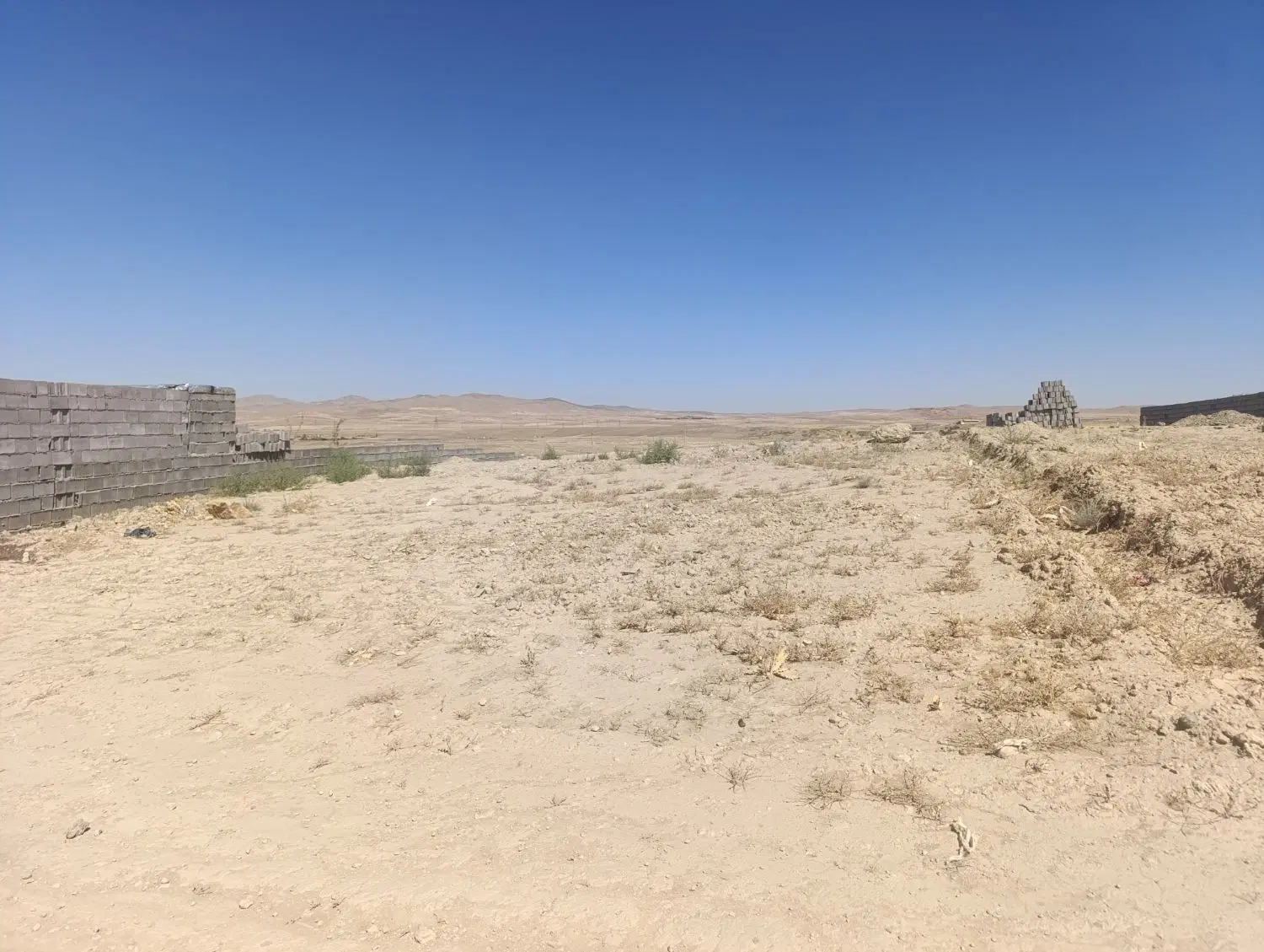 زمین باغی