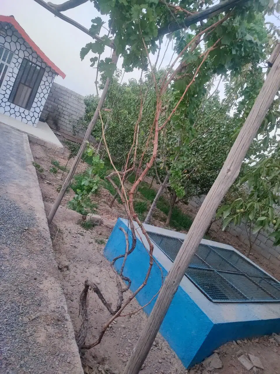 باغ وزمین کشاورزی