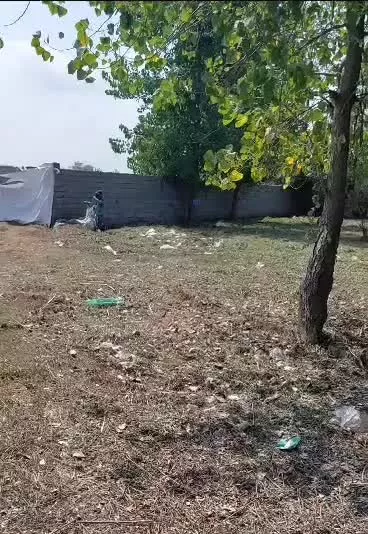 ۶۹۳ متر زمین ساحلی(دستک)