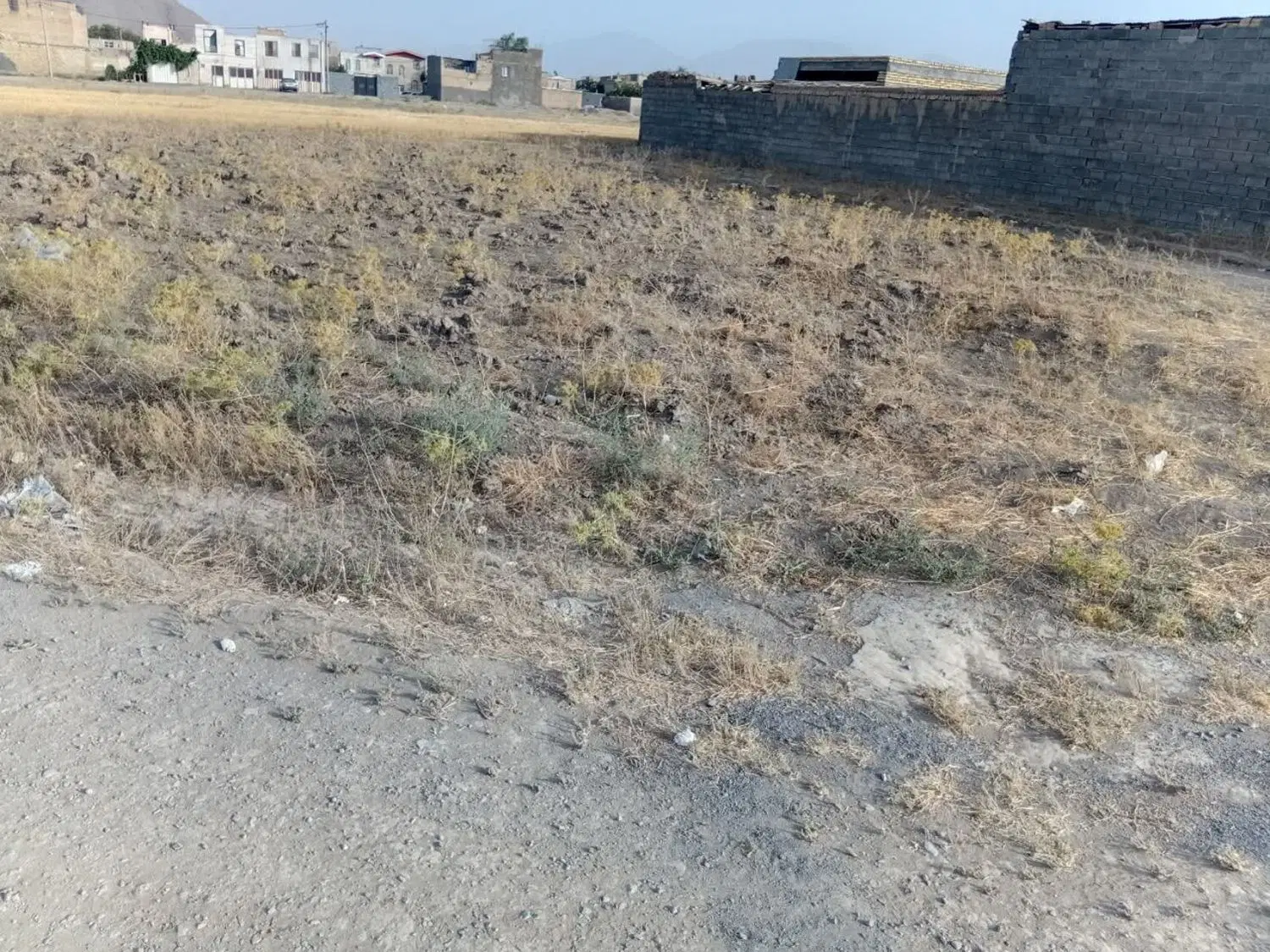 زمین باغی ۱۲۵۰ متر در خمین، دارای سند محضری