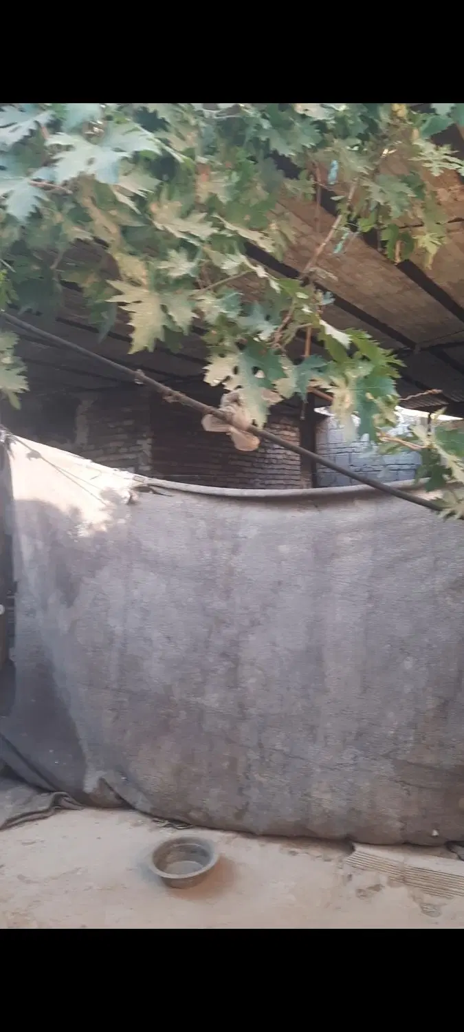 سوله_ویلا نیمه کاره