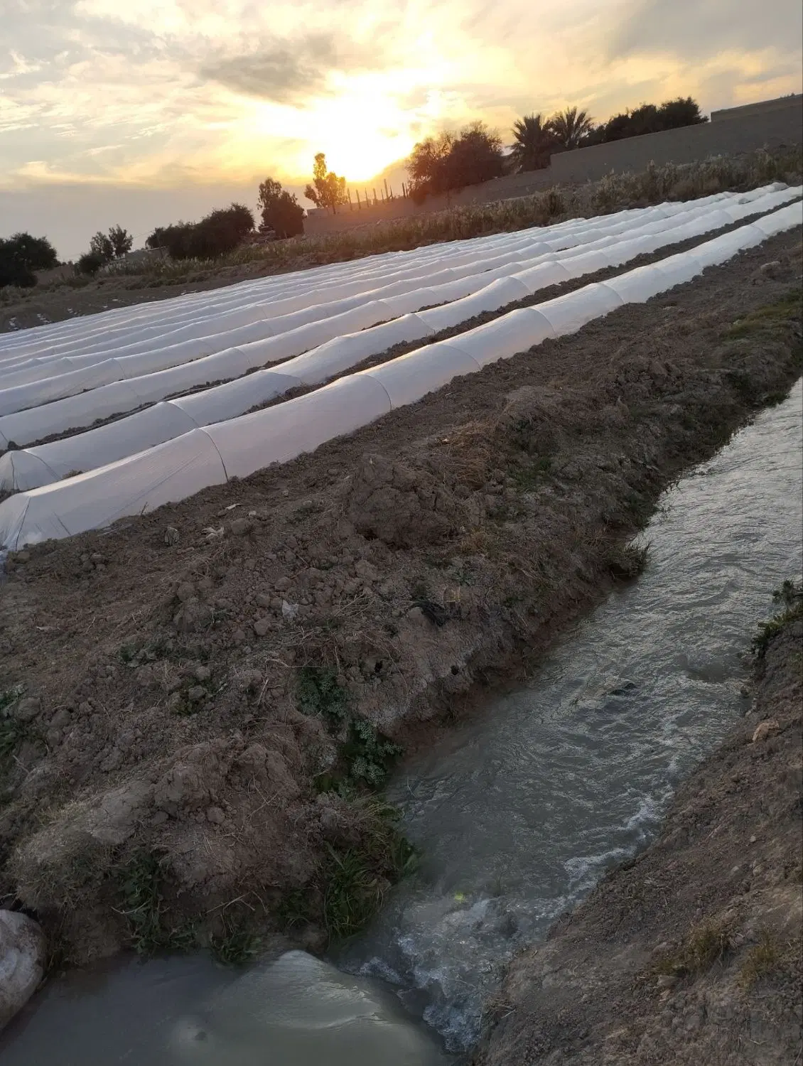 زمین کشاورزی و مناسب باغ