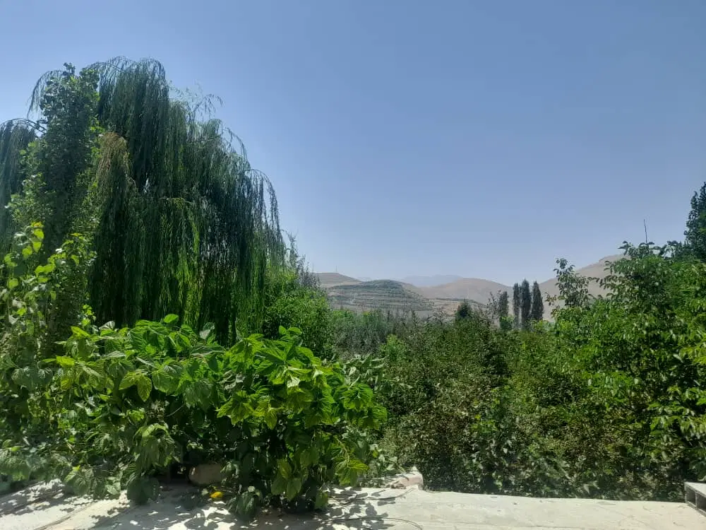 فروش واحد عبور جدا طبقه اول فول امکانات دوشان