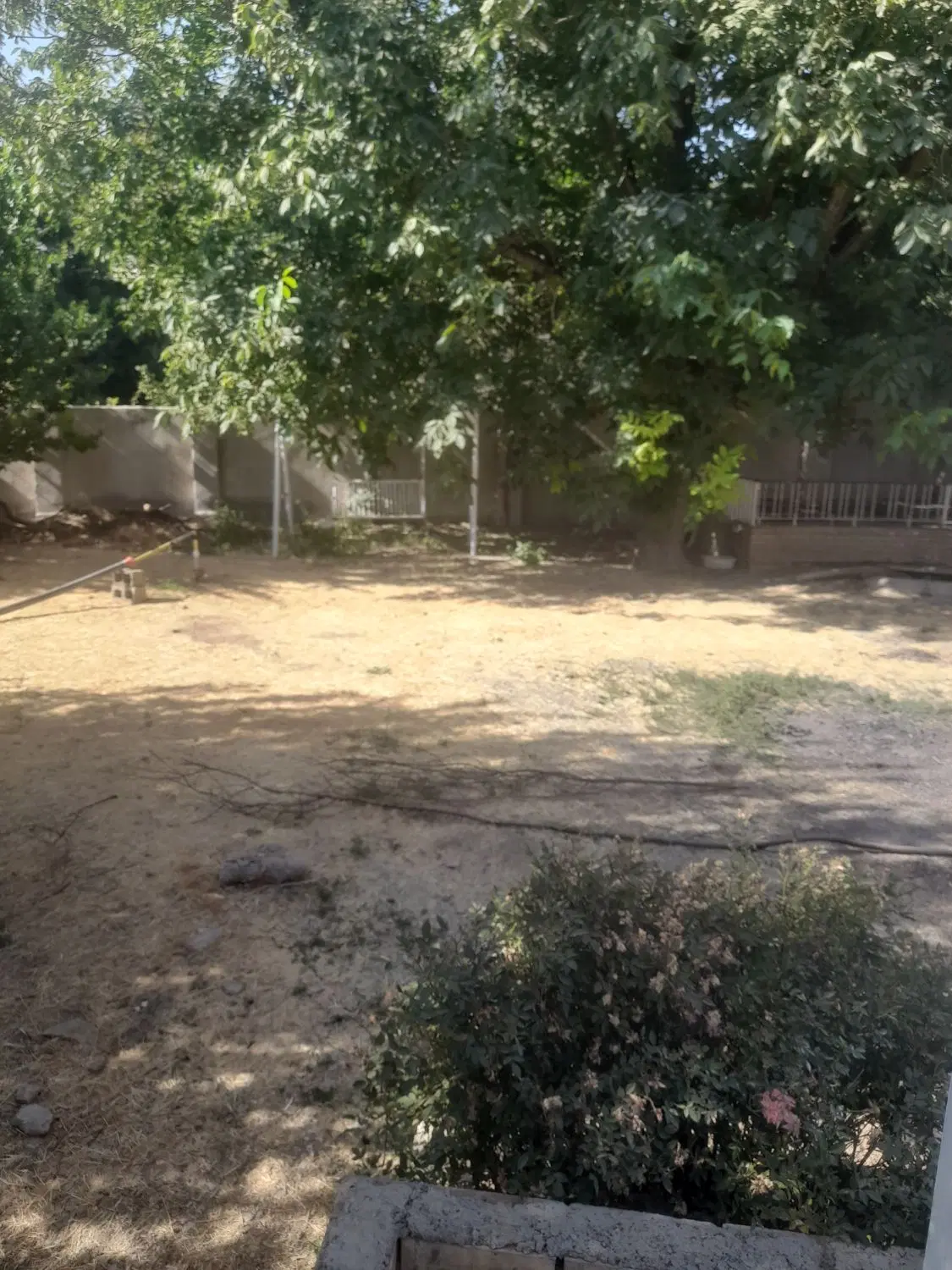 باغ دو ساله جهت استفاده از کافه یا رستوران