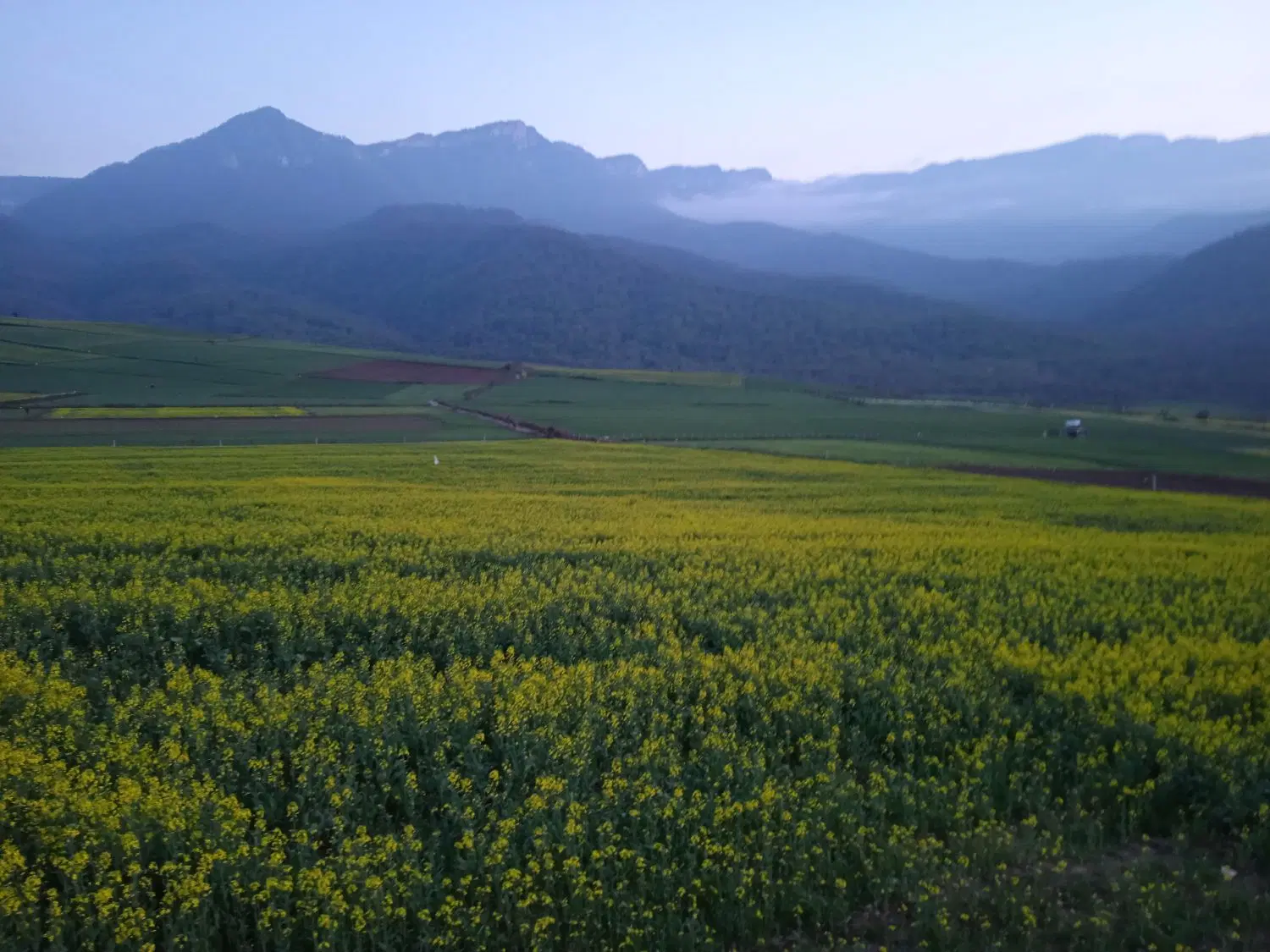 زمین مسکونی
