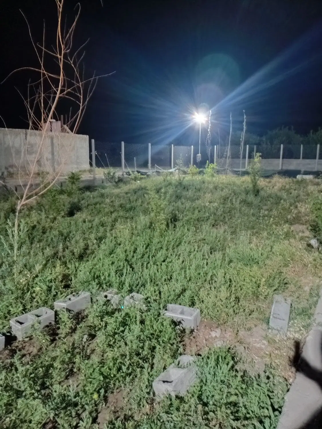 خانه باغ