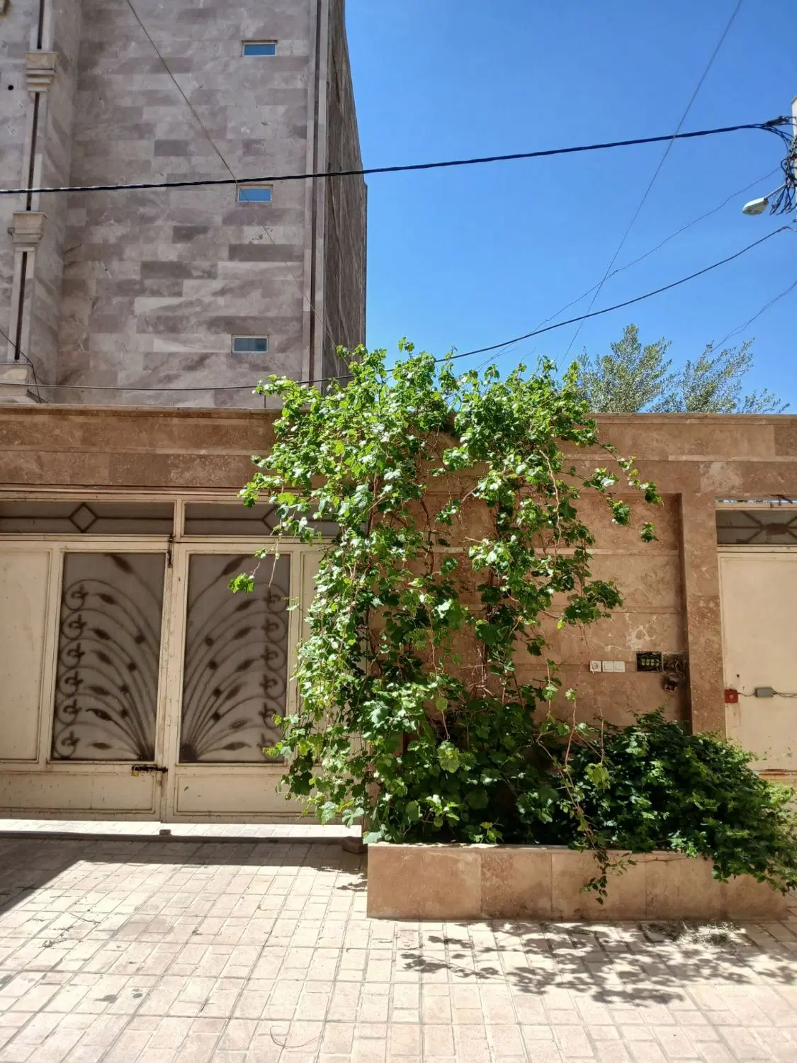 اجاره منزل