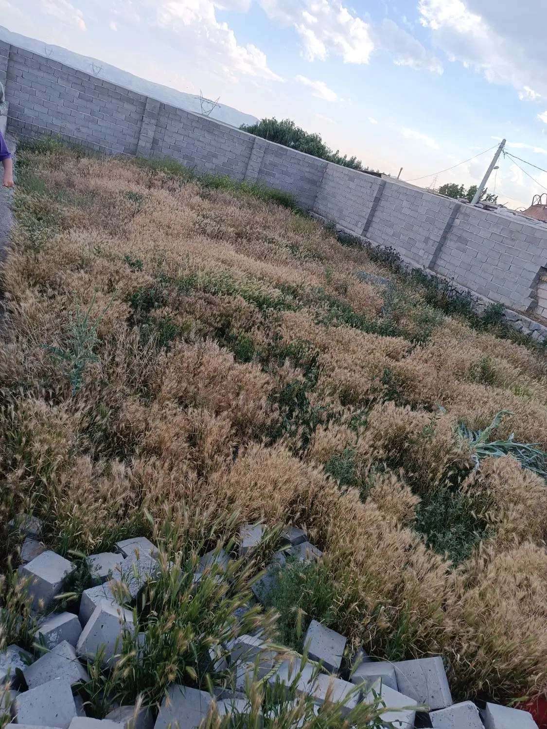 فروش زمین