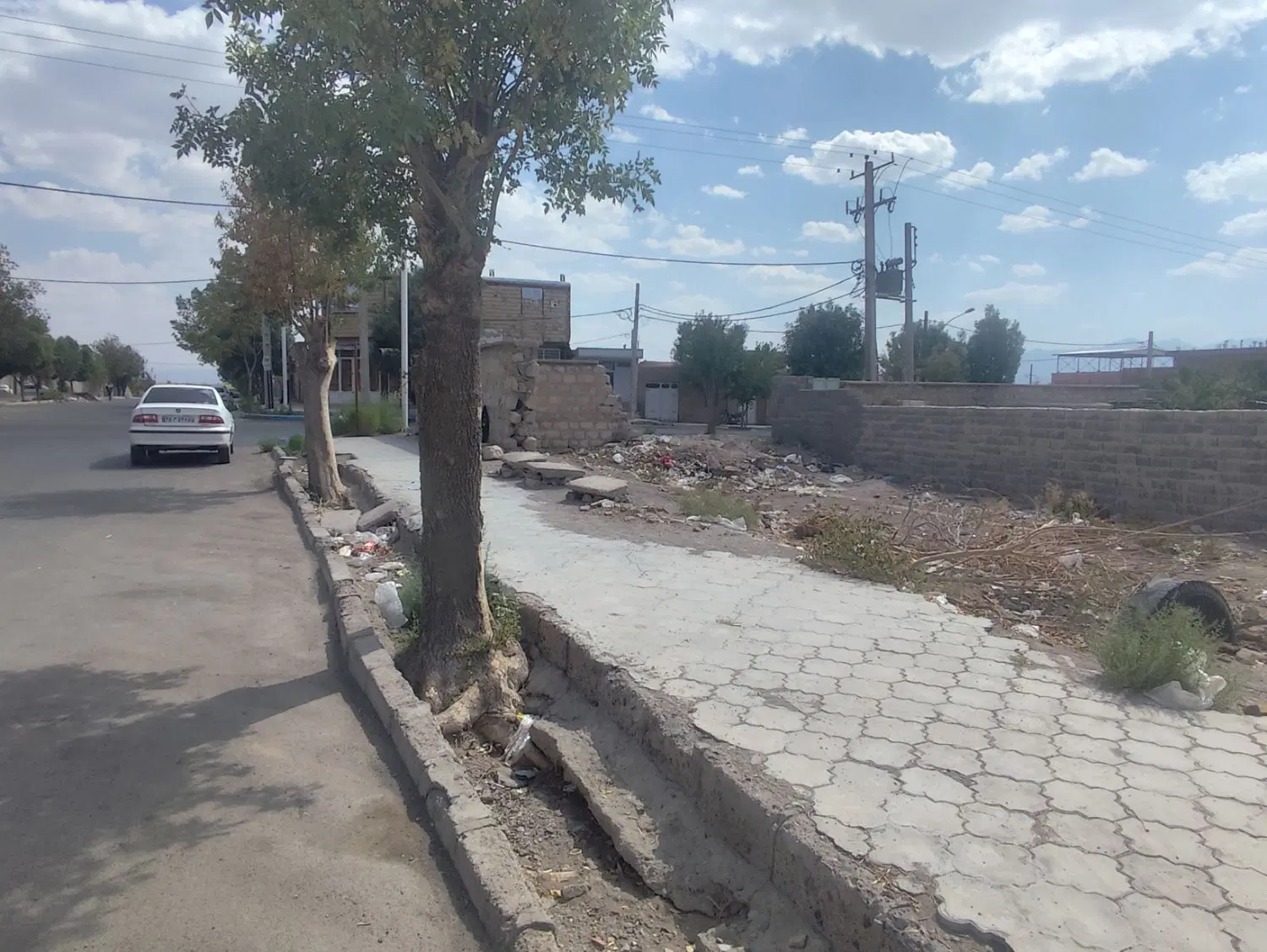 زمین تجاری