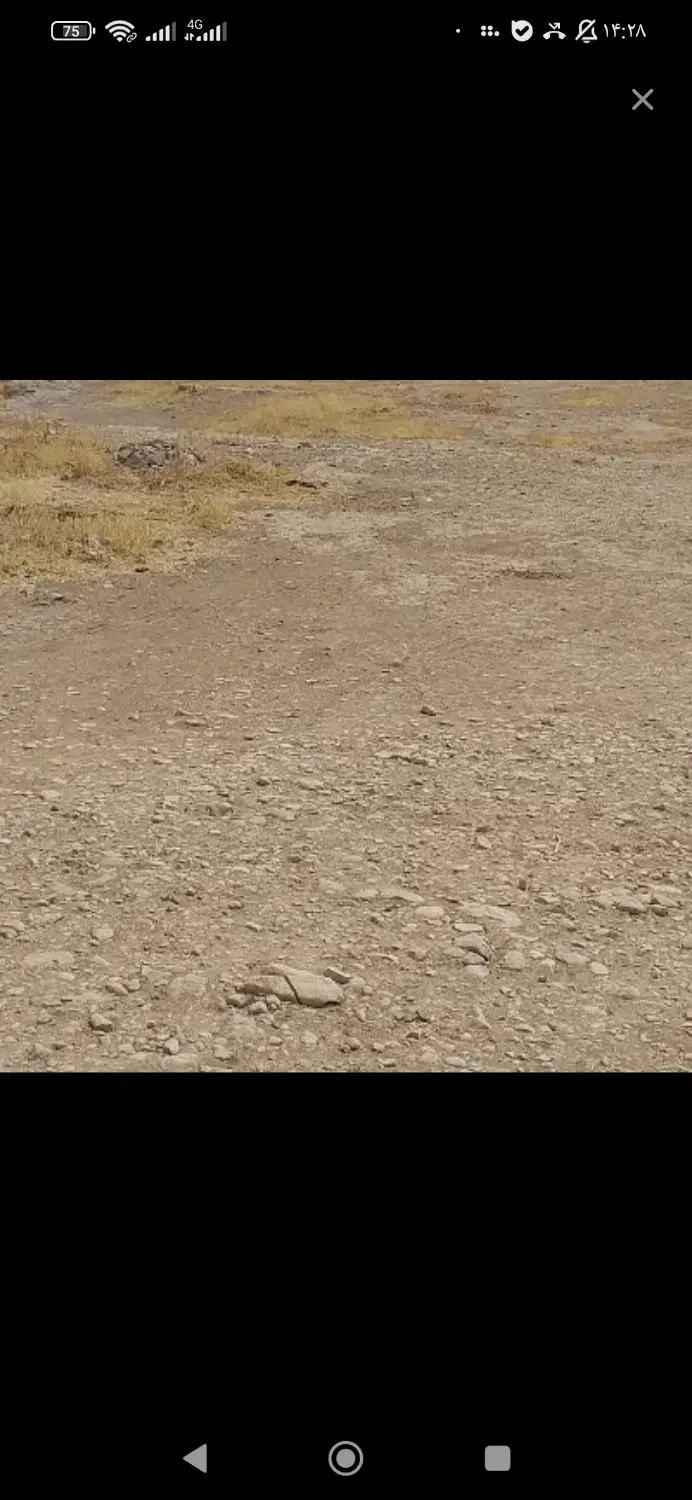 زمین 186 متری در قصرجدید فاز یک به فروش میرسد