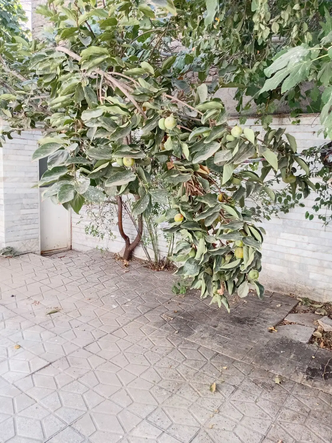 خانه رهن واجاره