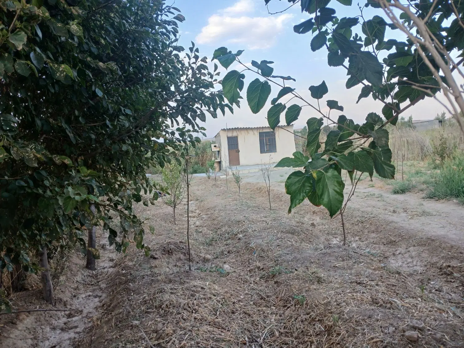 باغچه پیشک ۲ مدارک کامل