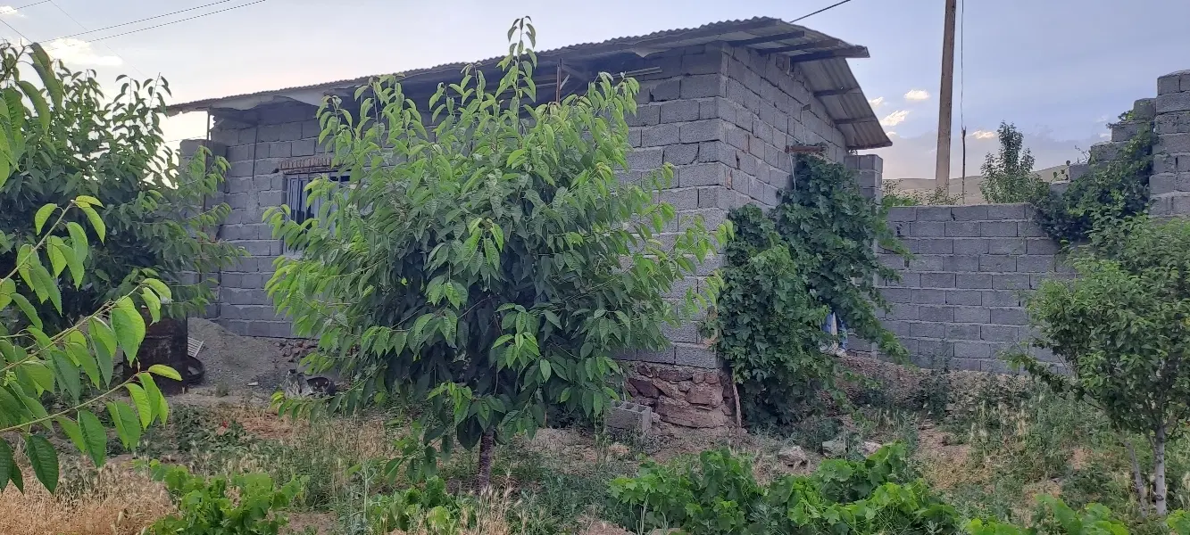 خانه باغ