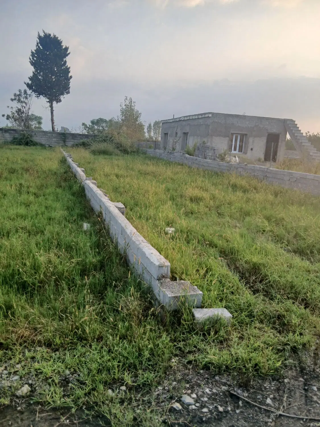زمین