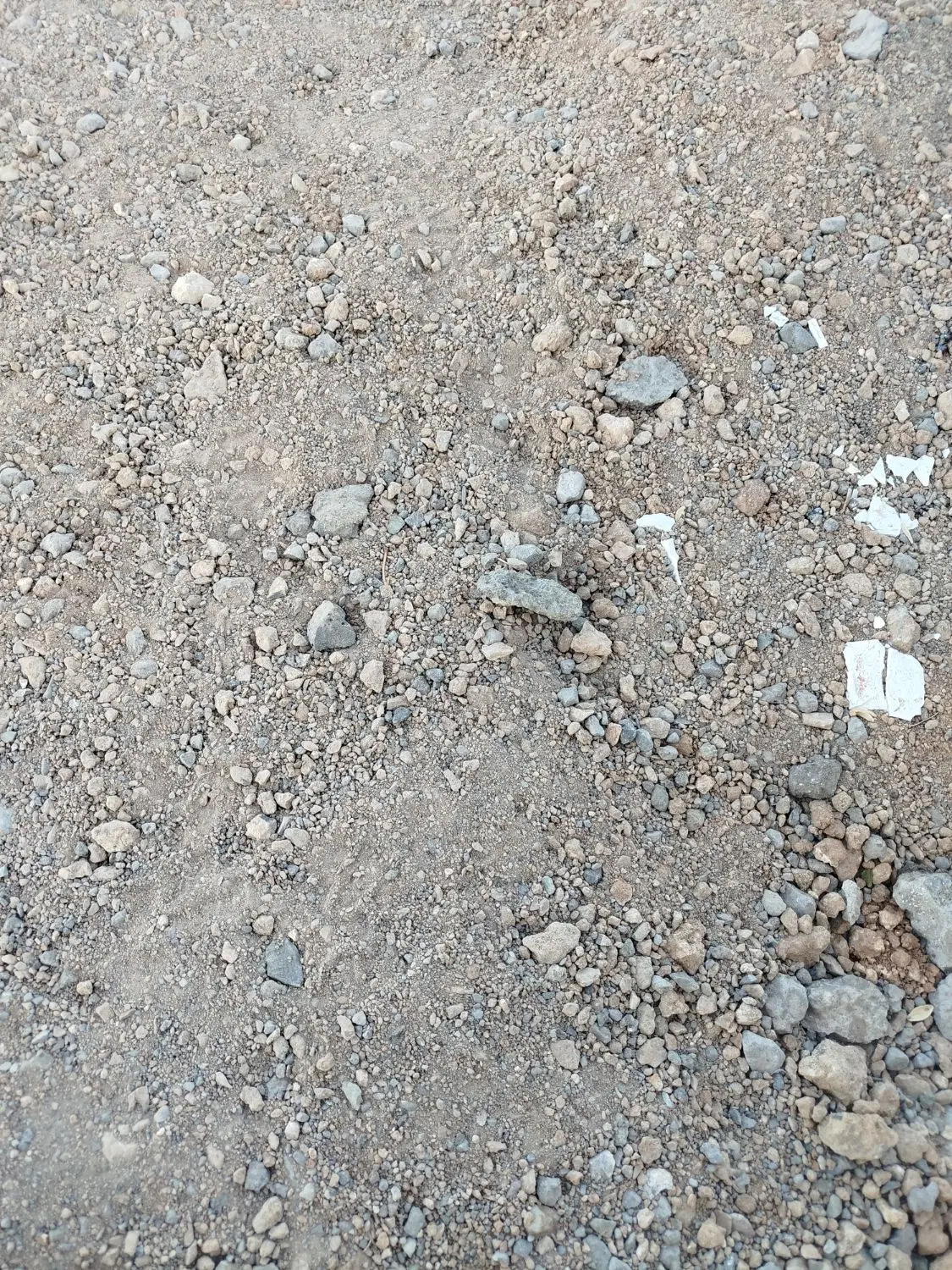 زمین مسکونی