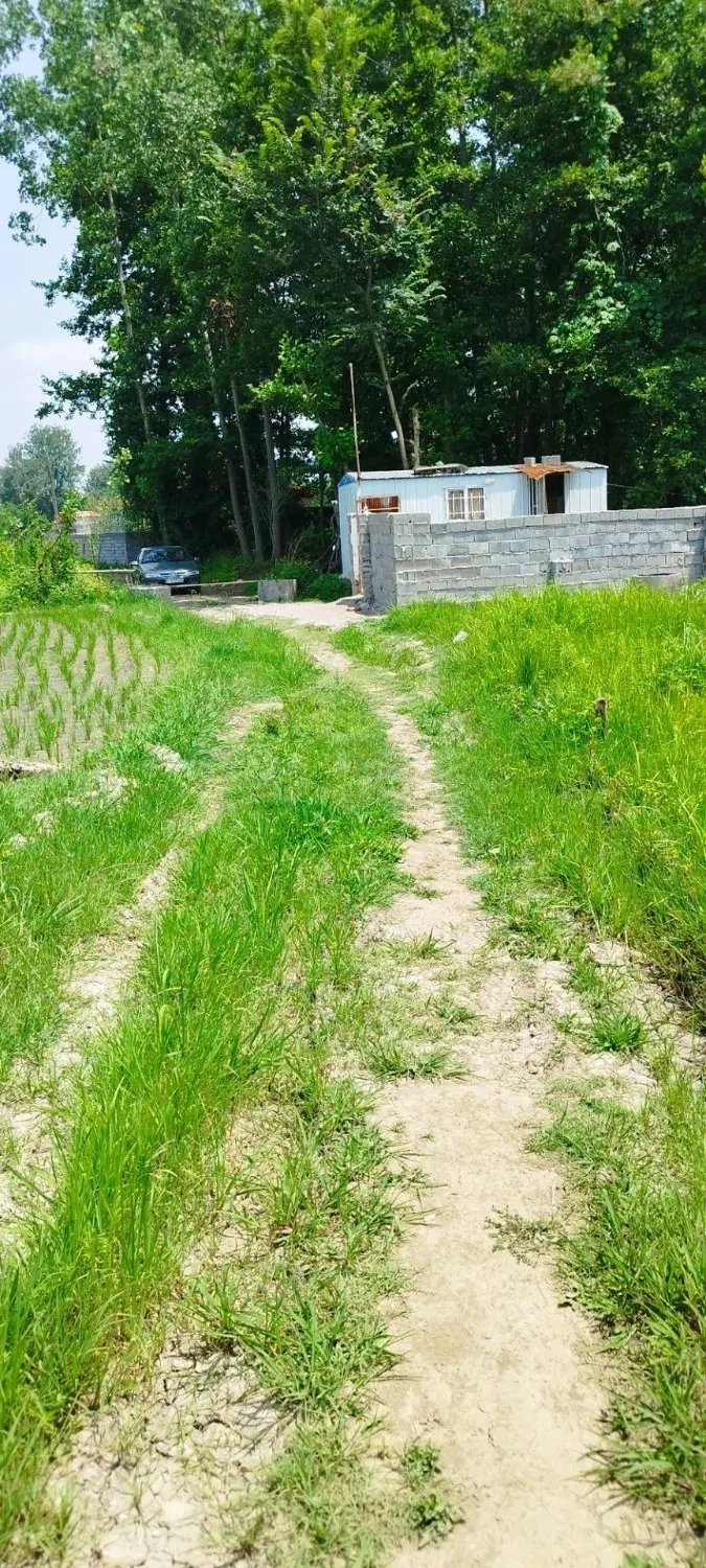 فروش زمین مسکونی با مجوز بنیاد مسکن