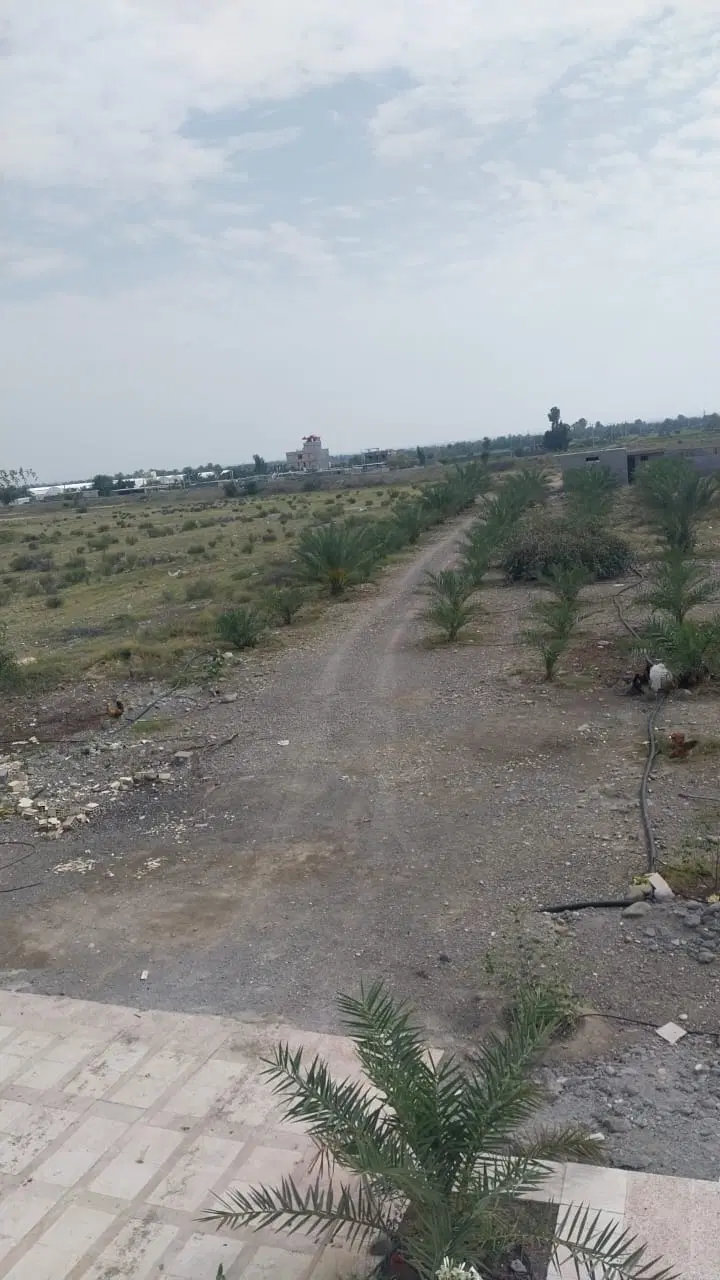فروش ویلا باغ زمین کشاورزی  باغ تیرور گوربند میناب