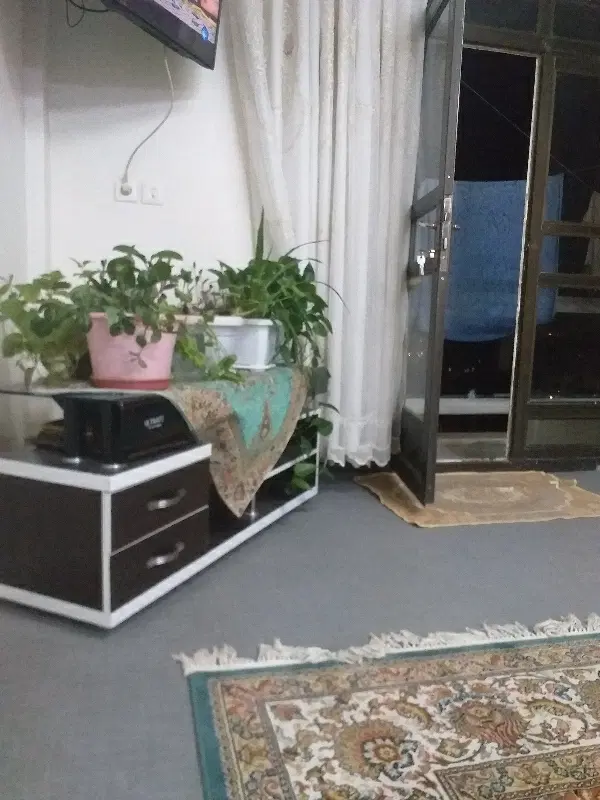 زمین