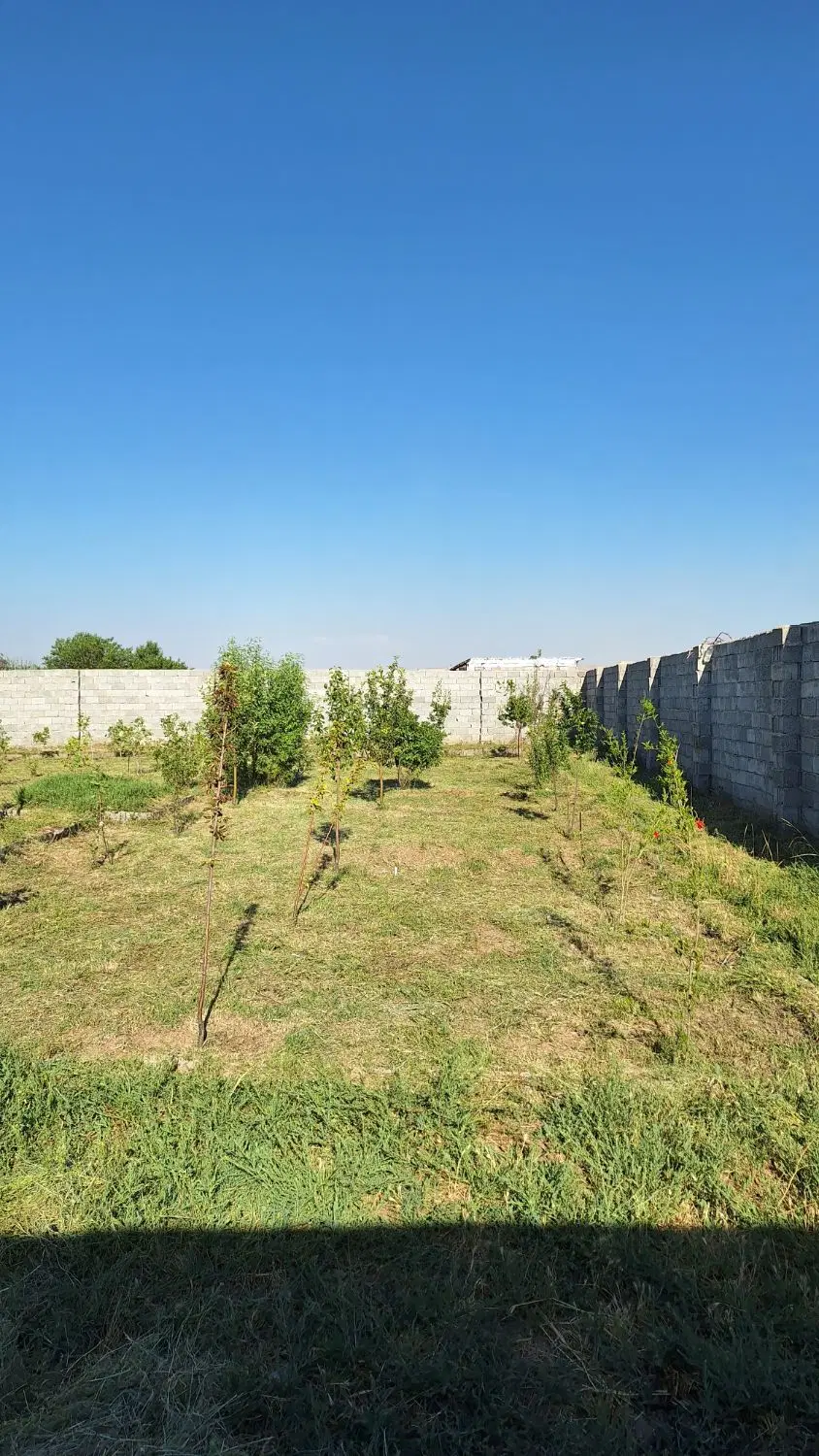 باغ ویلایی