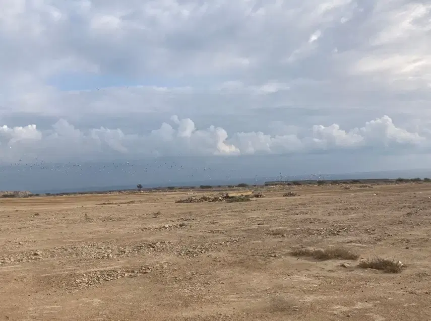 فروش زمین