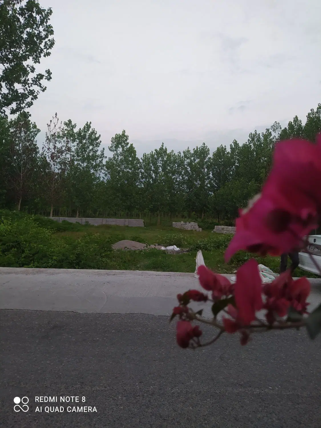 زمین باغی داخل طرح هادی