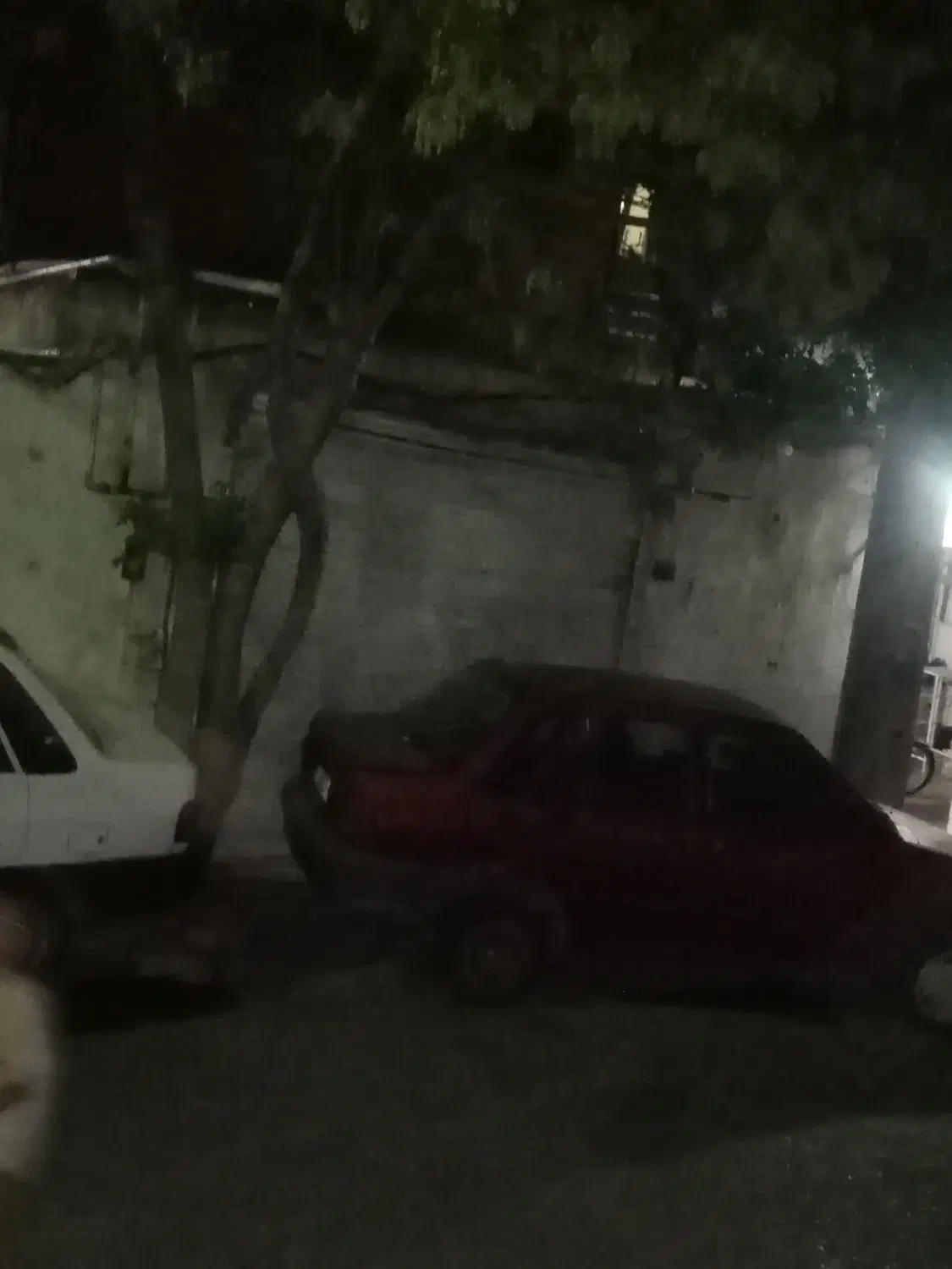 مغازه 12متری