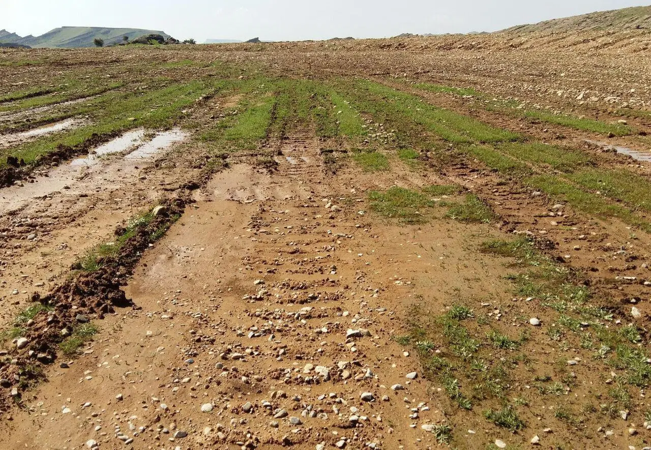 فروش زمین درخاش روستای افتخارآباد