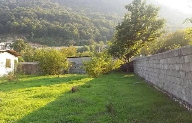 زمین