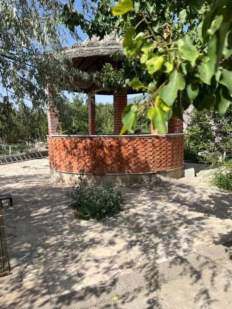 اجاره باغ روزانه توس169